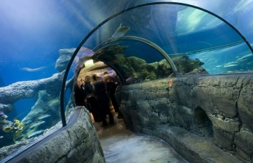 du sha fu ren la xiang guan，lun dun di lao， lun dun hai yang sheng wu shui zu guan，lun dun yan