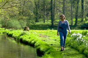 Wild & Natural North Norfolk